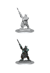 Critical Role Minis - WV4 ONI